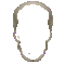 human skull empty