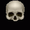human skull icon 1-2