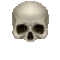 human skull icon 1-2