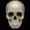 human skull icon good