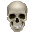 human skull icon good