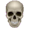 human skull icon good