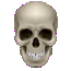 human skull icon good