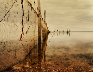 246381042_c707b44c35