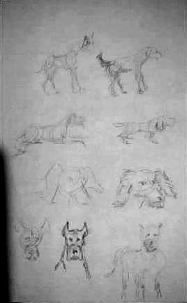 dog sketch