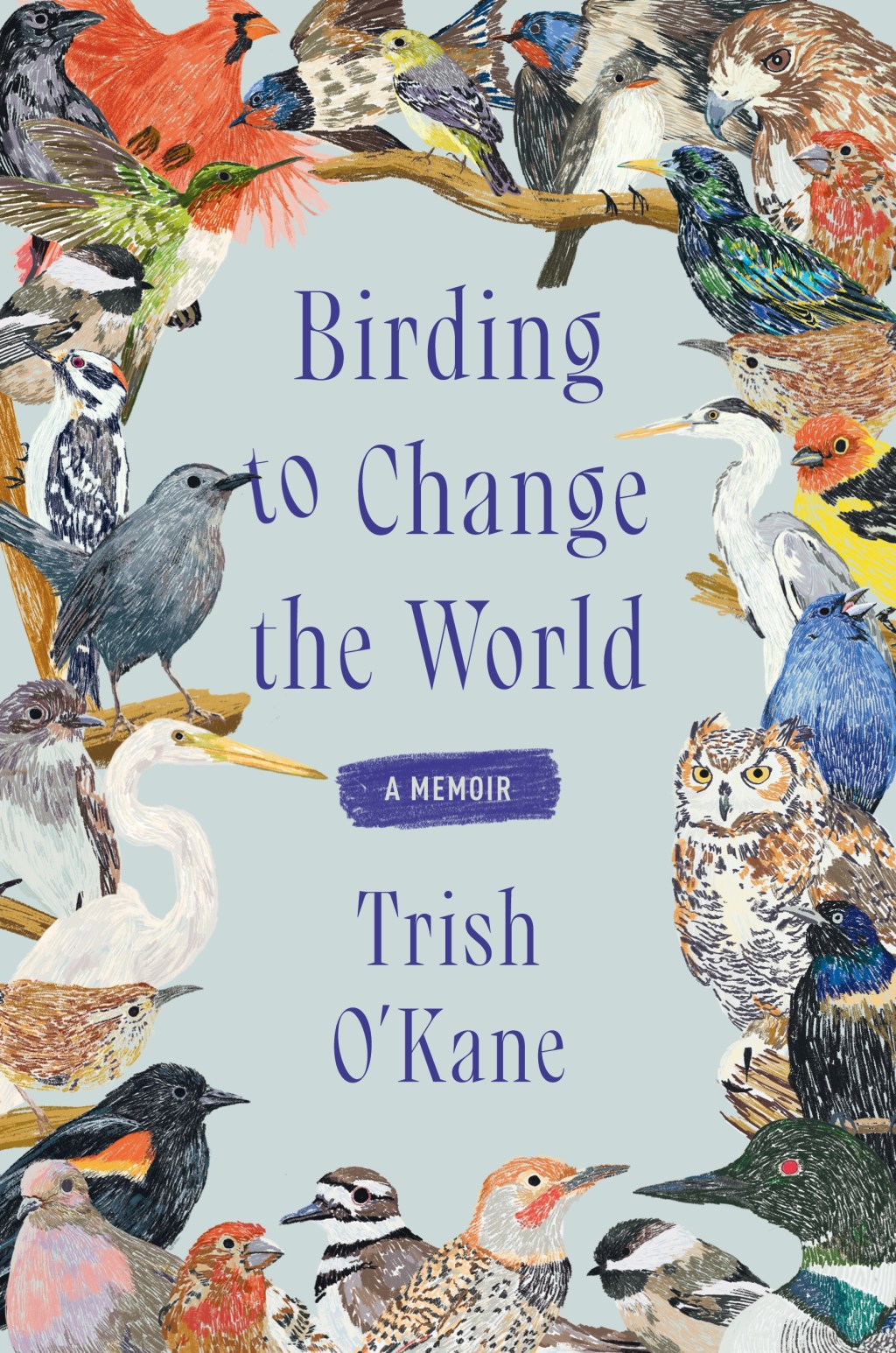 BIRDING TO CHANGE THE WORLD – Trish&nbsp;O’Kane